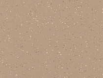 Линолеум Polyflor Polysafe Verona Pur 5213 Caramel Latte фото 1 | FLOORDEALER